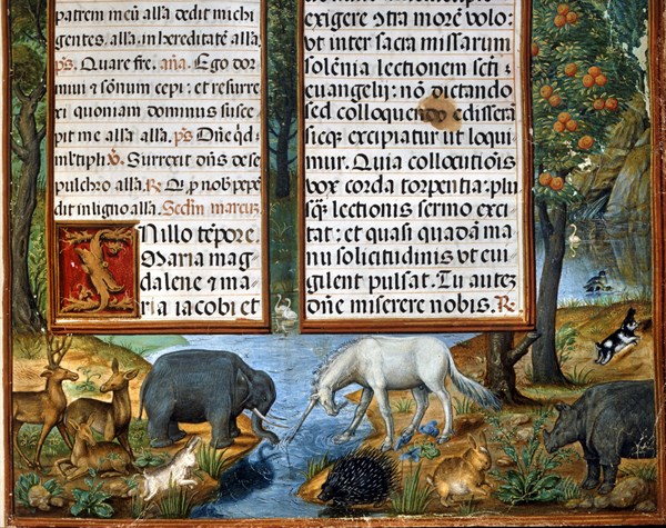 Forest filled with real and imaginary animals