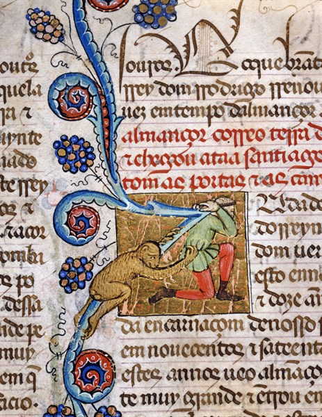 Explorer attacked by a monkey