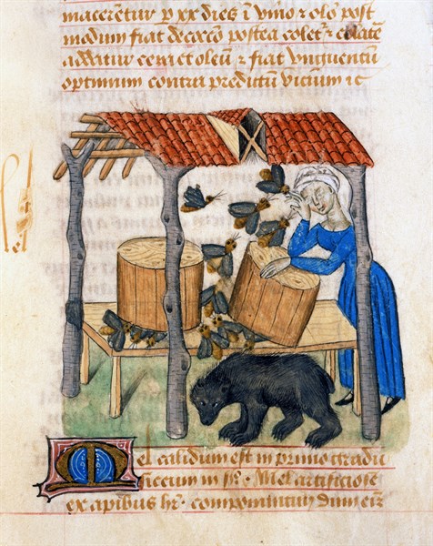 Miniature française, La récolte du miel