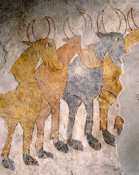 Fresque, Le troupeau de boeufs