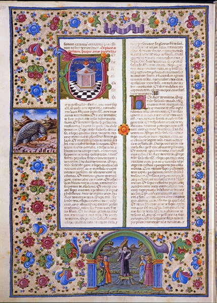 Crivelli, The book of the prophet Amos
