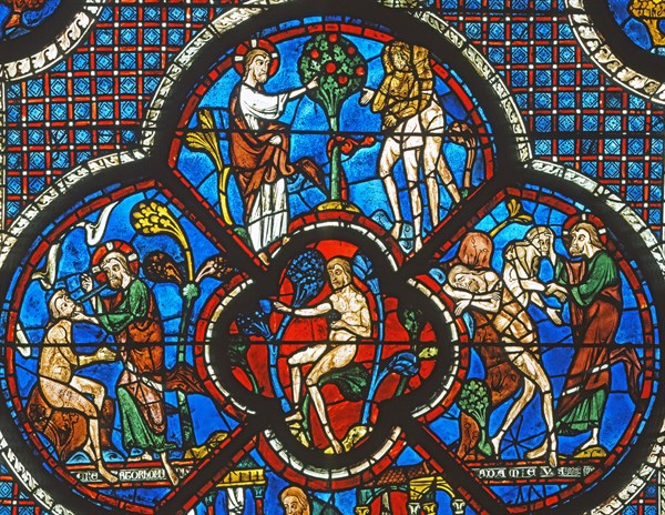Vitrail de la cathédrale Notre-Dame de Chartres
