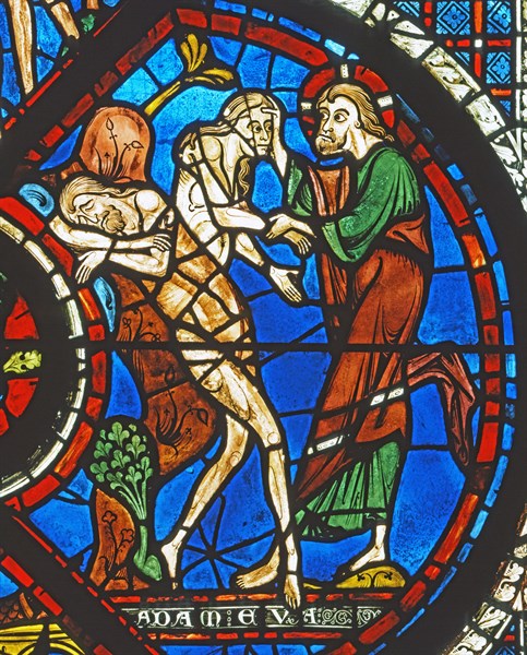 Vitrail de la cathédrale Notre-Dame de Chartres.