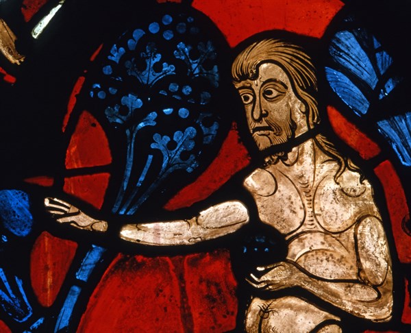 Vitrail de la cathédrale Notre-Dame de Chartres.