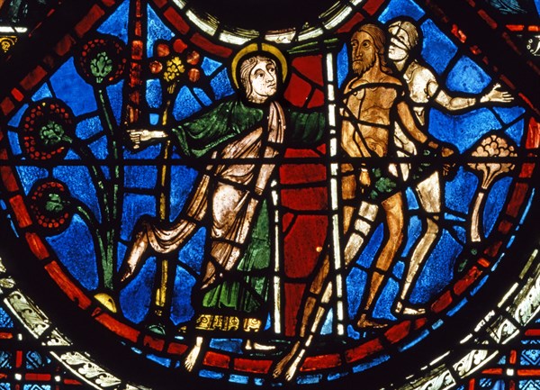 Vitrail de la cathédrale Notre-Dame de Chartres.