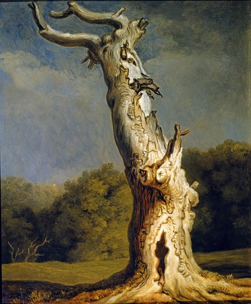 Tischbein, Cycle idyllique : vieux chêne