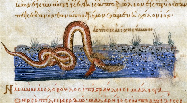 Oppien d'Apamée, "Cynégétiques" : La lutte entre le serpent et le ragondin
