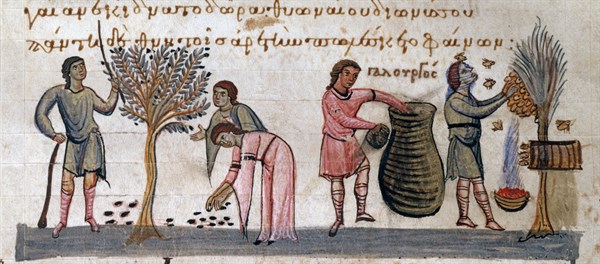 Oppien d'Apamée, "Cynégétiques" : La vie de l'agriculteur. La récolte des olives et du miel