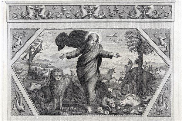 La Genèse, chapitre 1 : Dieu crée les animaux