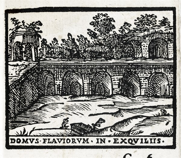 Domus Flaviorum in Exquiliis : Vestiges de la Domus Flavia à Rome