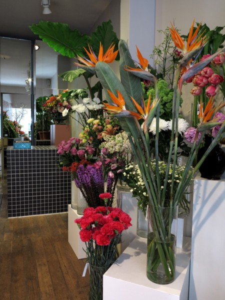 Boutique de fleurs "Debeaulieu"