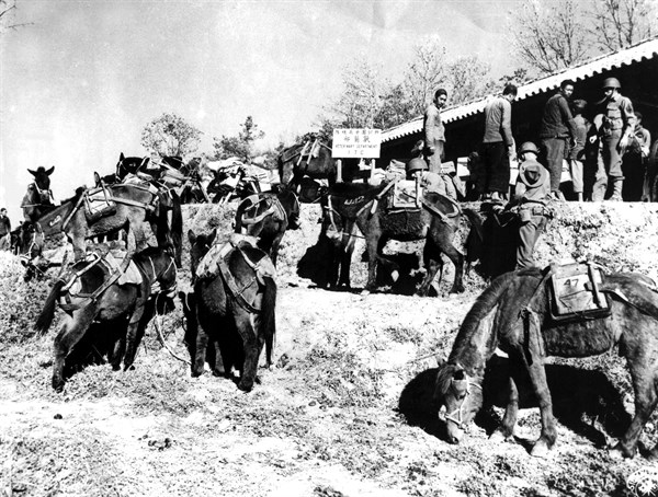American veterinaries teach Chinese to pack supplies on ponies in China, 1944