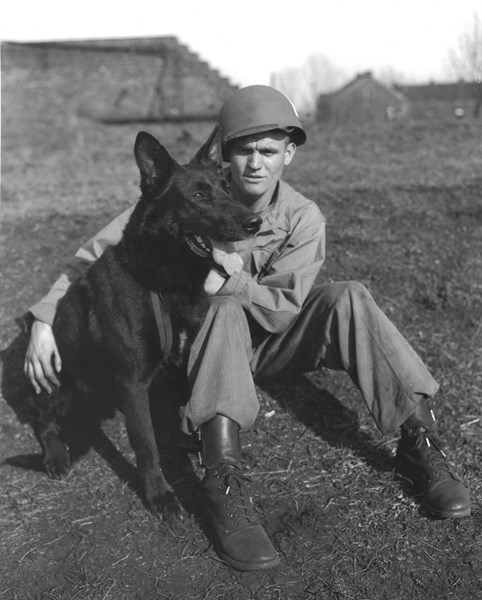 Un soldat du 42e peloton U.S. avec son chien de guerre à Farciennes, en Belgique. (25 mars 1945)