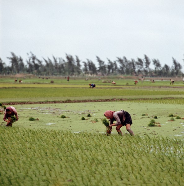 Historical Vietnam - North Vietnam 1973