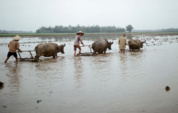 Historical Vietnam - North Vietnam 1973