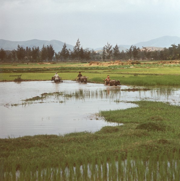 Historical Vietnam - North Vietnam 1973