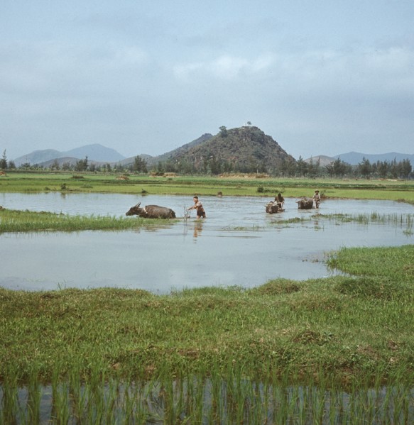 Historical Vietnam - North Vietnam 1973