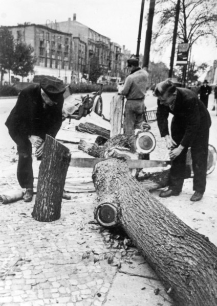 Berlin's trees and woods go into the oven