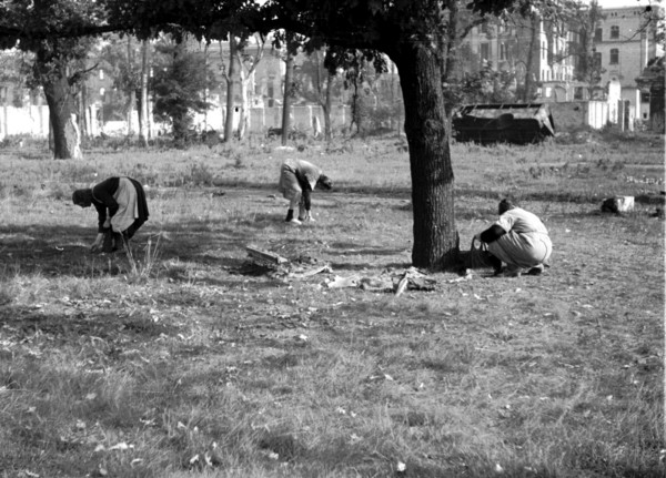 Trümmerfrauen" (women who clear away rubble after bombing)