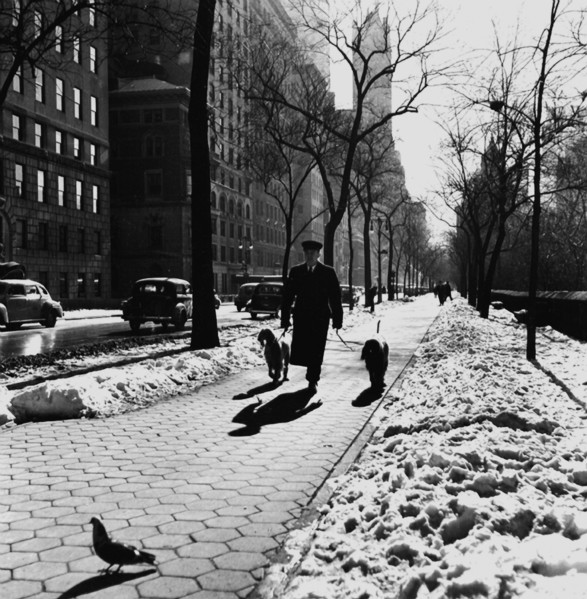 New York in the 1940th