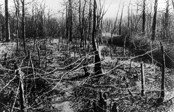 Bataille de Verdun, 1916
