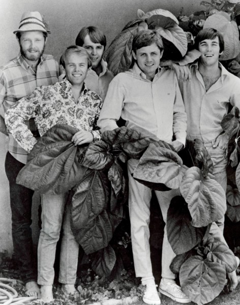The Beach Boys