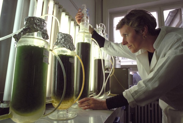 Ina Färber, assistante scientifique à l'Institut de recherche sur les céréales de
