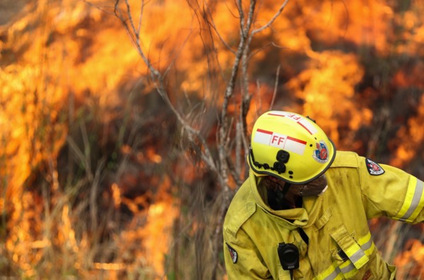Firefighters battle the flames during bushfires near Taree, New South Wales, Australia, Nov. 11, 2019