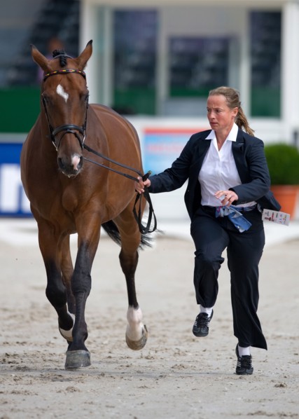 La cavalière allemande Isabell Werth