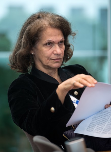 Mireille Fanon-Mendès-France