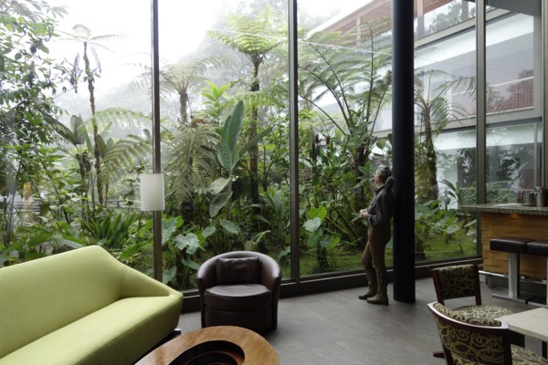 Mashpi lodge - Equateur