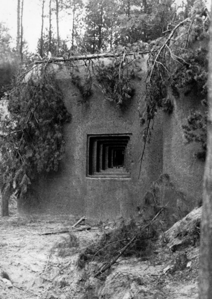 The Nazi propaganda picture shows Czech defensive positions and bunkers on the Schoeber Line