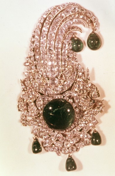 Naderi aigrette