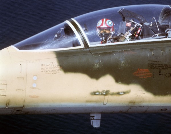 Reza Pahlavi at the controls of a fighter