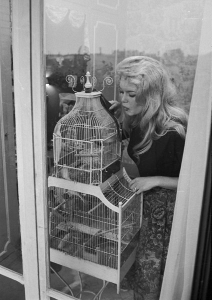 Brigitte Bardot (1958)