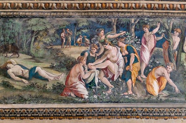 Rome, Villa Farnesina, La Salle des Perspectives