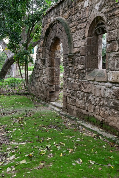 Jardin botanique de Palerme