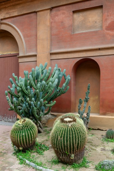 Jardin botanique de Palerme