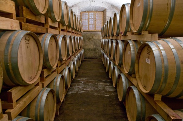 Winery Scacciadiavoli in Montefalco, Italie