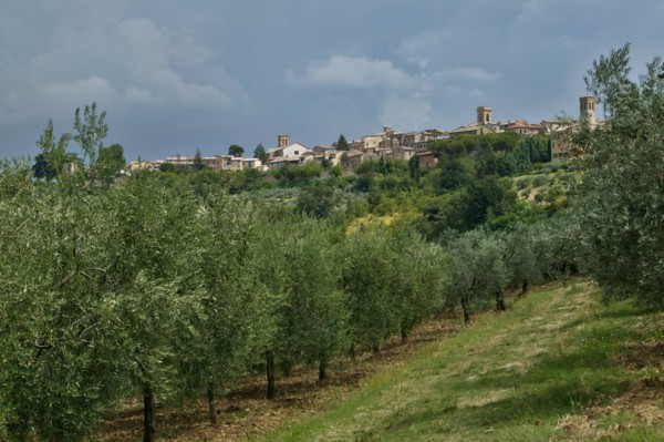 View of Montefalco, Umbria, Italie