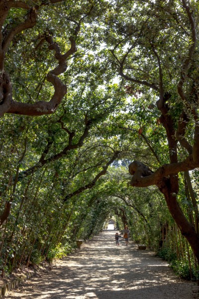 Jardin de Boboli à Florence