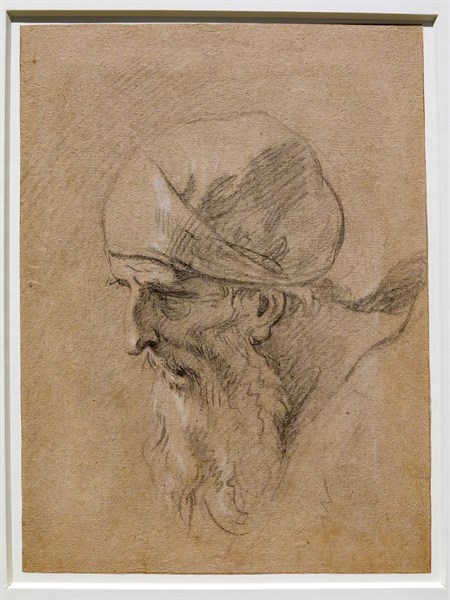 “Tête d'un vieil homme” de Sebastiano Ricci