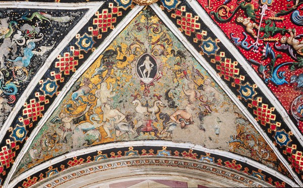 Voûte de la Libreria Piccolomini à Sienne