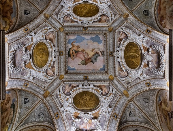 Civic Museum of Chiericati Palace, Hall of the Council of Gods