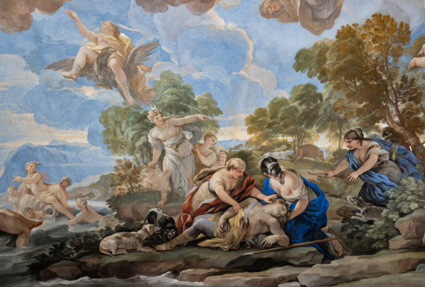 Palazzo Medici Riccardi, Galleria degli specchi (o Sala Luca Giordano): “Adone ucciso dal
