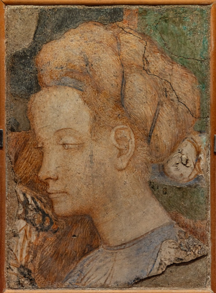 “Testa di donna”, dipinto murale strappato, di Antonio di Puccio, detto il Pisanello, 1430 - 35.