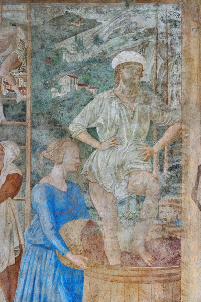 Pisa, Monumental Cemetery: 
 “Grape Harvest and Drunkenness of Noah”, frescoes by Benozzo
