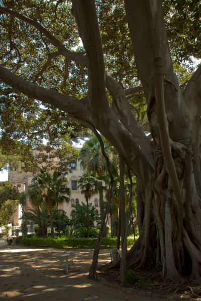 Palermo, Palazzo Reale o Palazzo dei Normanni, lato sud ovest, i giardini del Bastione di San