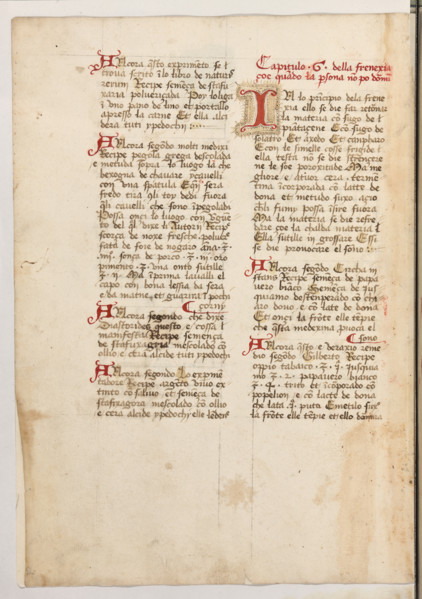 Erbario di Trento (Manoscritto n° 1591), XVI secolo, carta 47 verso.

[ENG]
Herbarium of Trento