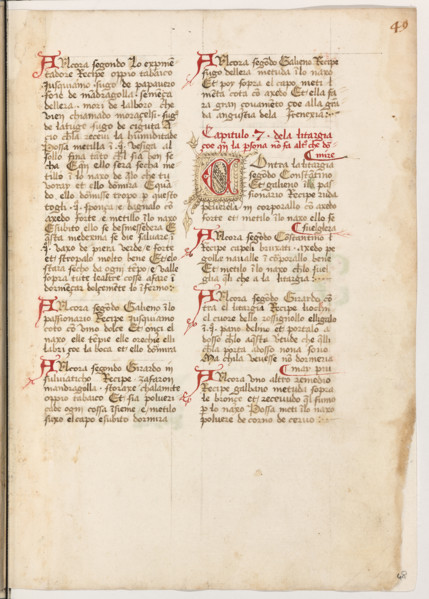 Erbario di Trento (Manoscritto n° 1591), XVI secolo, carta 48 recto.

[ENG]
Herbarium of Trento